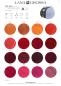 Preview: Cool Wool 2025 Farbkarte 1